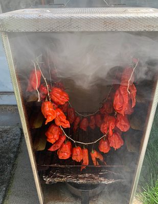 Strings of red hot chilis hanging inside a smoker, with smoke rising